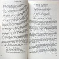 Carel ter Haar:Aus dem Leben eines Taugenichts text, materialien, kommentar(Reihe Hanser Literatur-Kommentare 230)