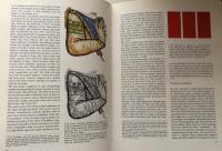 Theory and Use of Colour