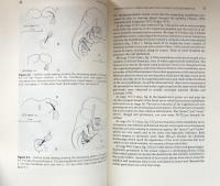 Teeth: Form,Function, and Evolution