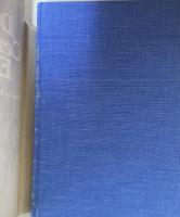 Dickens Centennial Essays