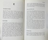 Essential Design