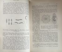 Allgemeine Physiologie. Ein Grundriss der Lehre vom Leben.



