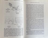 Structure, Function and Evolution of Teeth