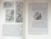 Alice’s Adventures in Wonderland: An 1865 printing re-described and newly identified as the Publisher’s “File Copy” with a revised and expanded Census of the Suppressed 1865 “Alice” compiled by Selwyn H.Goodacre to which is added,a short-title index identifying and locating the original preliminary drawings by John Tenniel for Alice and Looking-Glass catalogued by Justin G.Schiller
