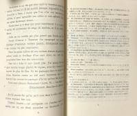 Lettres de Vincent Van Gogh
