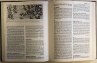Kodansha Encyclopedia of Japan 全9巻揃+補遺