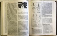 Kodansha Encyclopedia of Japan 全9巻揃+補遺