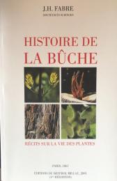 Histoire de la Bûche – Récits sur la vie des plantes