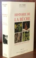 Histoire de la Bûche – Récits sur la vie des plantes