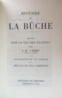 Histoire de la Bûche – Récits sur la vie des plantes