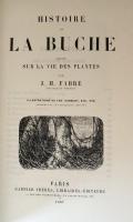 Histoire de la Bûche – Récits sur la vie des plantes