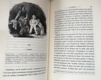 Histoire de la Bûche – Récits sur la vie des plantes