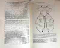 The Self and Its Brain：An Argument for Interactionism