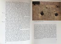 Movements in Art since 1945 (World of Art)