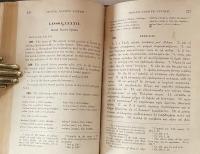 The Beginner's Greek Book