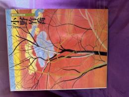 現代日本画全集　小野竹喬