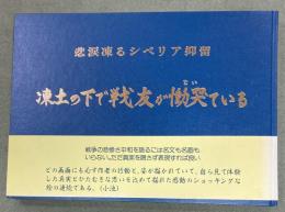 凍土の下で戦友が慟哭ている : 画集 悲涙凍るシベリア抑留