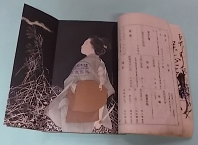 新小説 第六年第十一巻 明治34年11月1日発行 泉鏡花(袖屏風)ほか(春陽