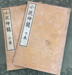 小説神髄 　上下2巻　