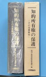 知的所有権の保護 : その実務傾向