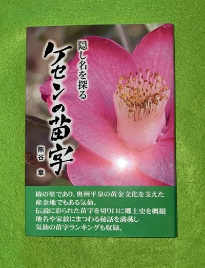 飾り結び | 橋田正園 | 小林学院 | ¥2,000 - 日本の古本屋 / 日本の古本屋