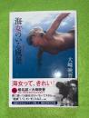 海女のいる風景 : 昭和の美しい海の女たち