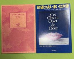 欲望のあいまいな対象（私の身体に悪魔がいる）　角川文庫