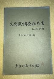 大東町の城館　文化財調査報告書　第６集別冊　