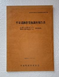 平泉遺跡群発掘調査報告書