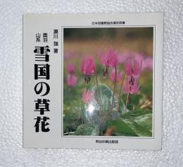 奥羽山系雪国の草花
