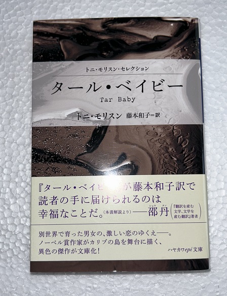 Amazon.co.jp: 自分のルーツを探す (光文社新書) : 丹羽 基二
