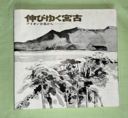 伸びゆく宮古　アイオン台風から