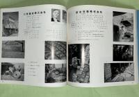 伸びゆく宮古　アイオン台風から