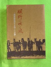 曠野に吹く風 : 満州開拓団生き残りの記録