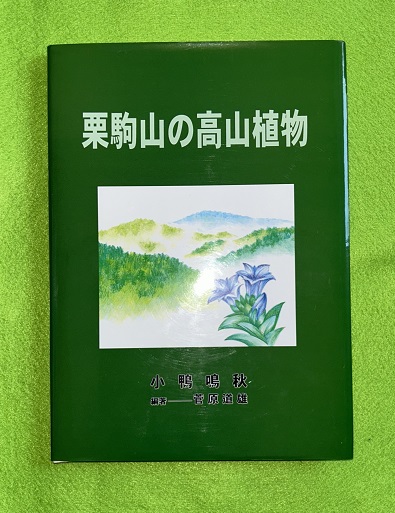 宇野信四郎蒐集 古瓦集成 - 古書店 氷川書房