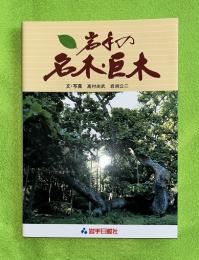 岩手の名木・巨木