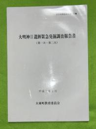 大明神Ⅱ遺跡緊急発掘調査報告書