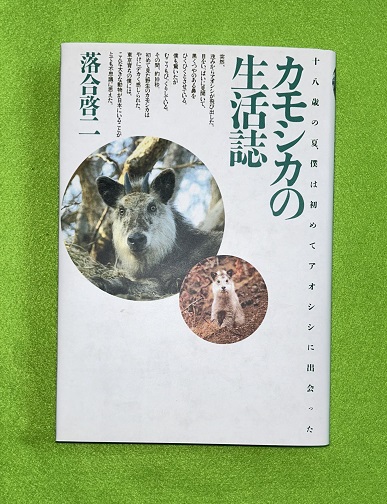 木下杢太郎画集 全4巻揃（仏像篇 紀行篇 昆虫篇 装幀篇）(木下