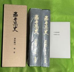 福井県史　　資料編 13 (考古)