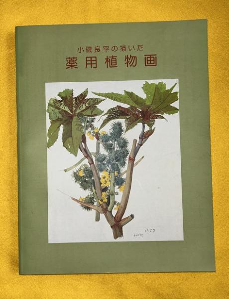薬用植物画 : 小磯良平の描いた(神戸市立小磯記念美術館編) / 古本