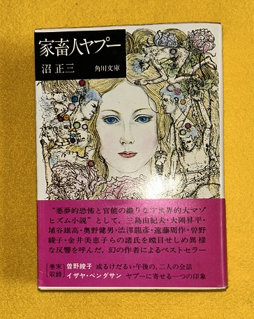 家畜人ヤプー 角川文庫(沼正三 著) / 虔十書店 / 古本、中古本