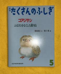 コアジサシ : ふるさとをなくした渡り鳥　月刊たくさんのふしぎ　＃266
