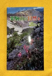 栗駒山の自然を訪ねて