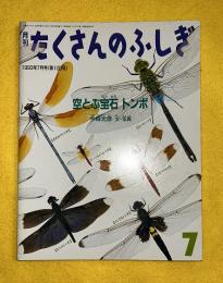 空とぶ宝石トンボ