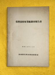 常陸国府址発掘調査報告書