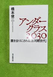 アンダークラス2030 : 置き去りにされる「氷河期世代」