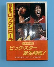 燃えろロックンローラー : ビッグ・スター実名ドキュメント