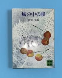 風の中の瞳　講談社文庫