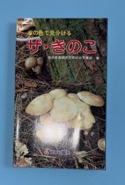 ザ・きのこ : 傘の色で見分ける