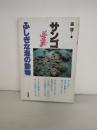 サンゴ : ふしぎな海の動物